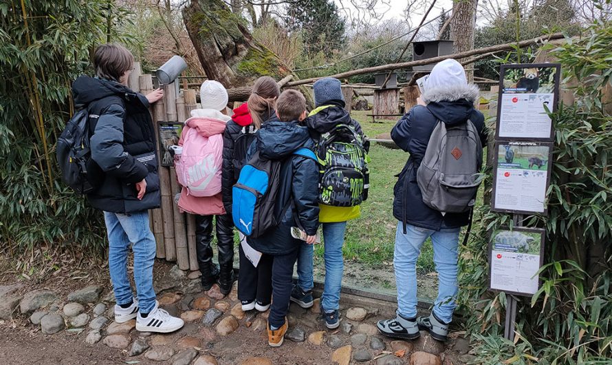 Faszination Tierwelt– DaZ-Schüler im Wildpark und Heidelberger Zoo