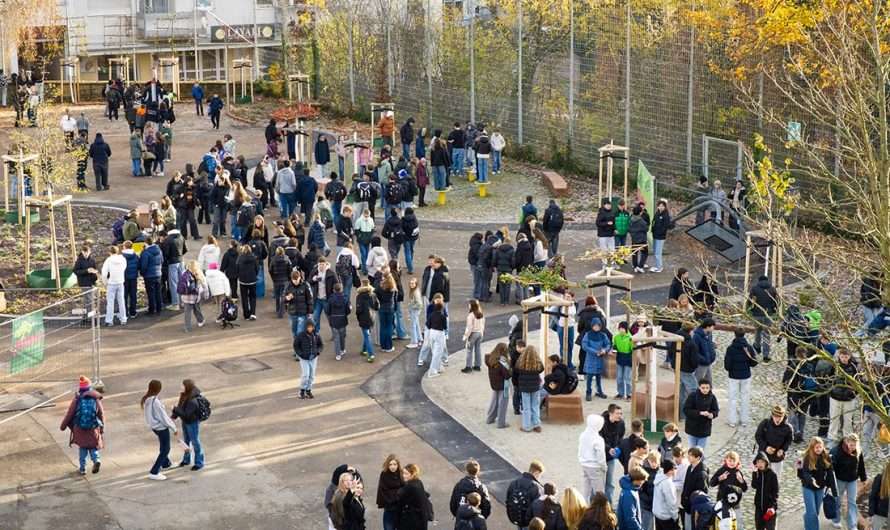 Nachhaltigkeit wird sichtbar – unser Schulhof blüht auf!