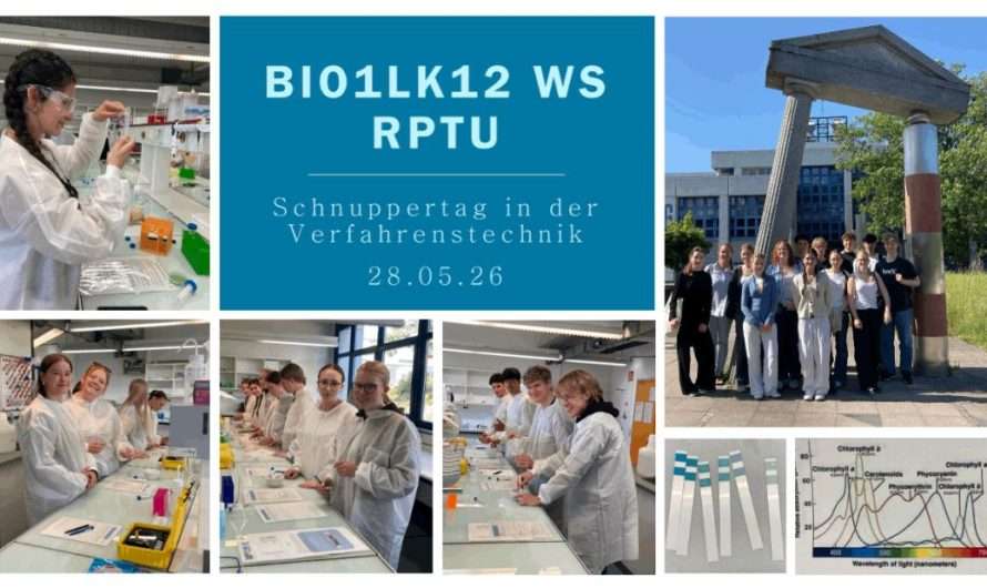 Bio LK 12 beim Bioverfahrenstechnik an der RPTU